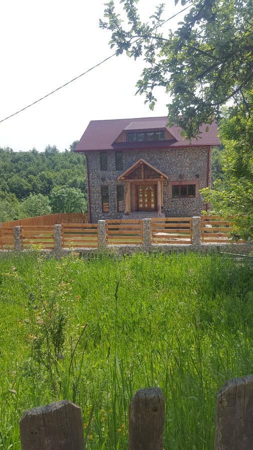 Casa Din Piatra Hotell Poiana  Exteriör bild