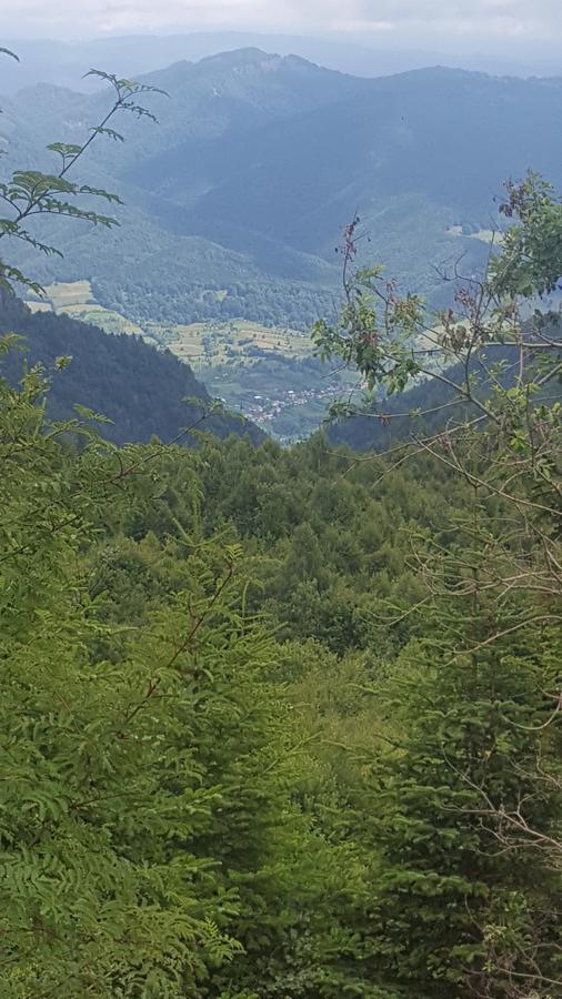 Casa Din Piatra Hotell Poiana  Exteriör bild