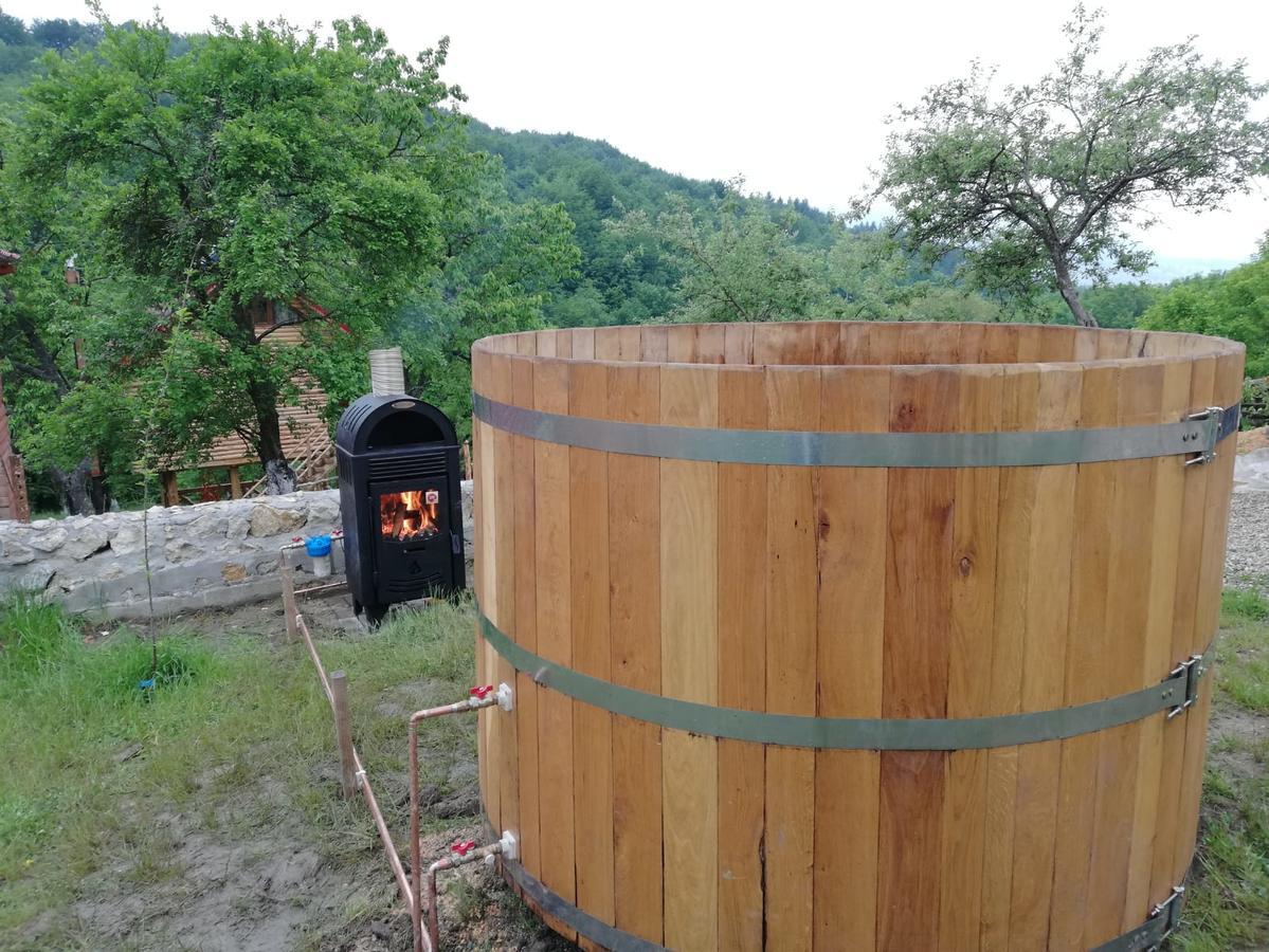 Casa Din Piatra Hotell Poiana  Exteriör bild