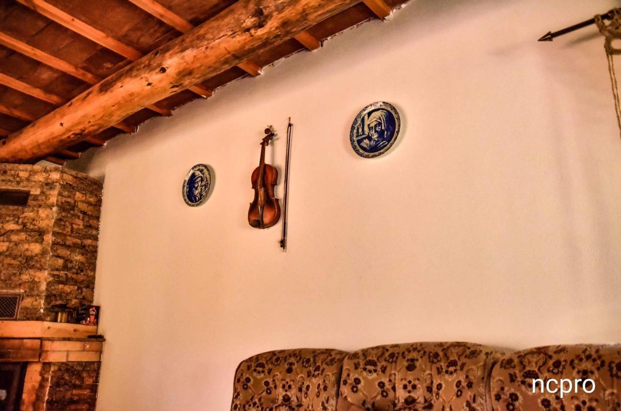 Casa Din Piatra Hotell Poiana  Exteriör bild
